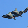 Iruma…（41）..C-1  DUET