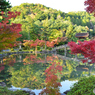 澄む朝の永保寺