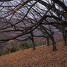 岩山展望台