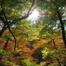 先にあるもの