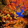 永源寺山門紅葉　3-2