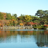 日本庭園2