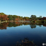 日本庭園3