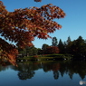 日本庭園4