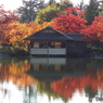 日本庭園5