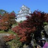 城の紅葉