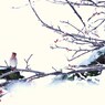 和御魂（にぎみたま）