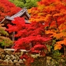 紅葉鐘楼