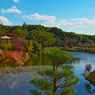 秋の彩り 防府市・毛利氏庭園３