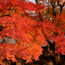 大窪寺