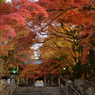 大窪寺