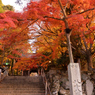 大窪寺