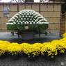 新宿御苑・菊花展1