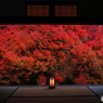 '16 秋の安国寺 （3/3）