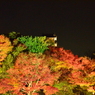 姫路城好古園