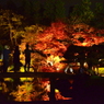 姫路城好古園