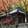 安楽律院