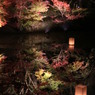 御船山楽園の紅葉ライトアップ