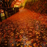 紅葉三昧15