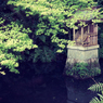 小池の祠（石山寺より）