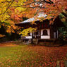 金蔵寺