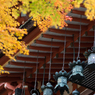 tanzan shrine