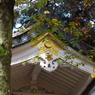 破風_豊川稲荷東京別院
