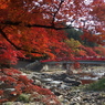 秋の装い 香嵐渓