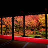 圓光寺の額縁紅葉
