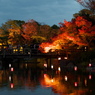 夜の紅葉狩り