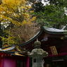 箱根神社～齋宮