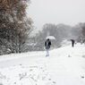 初雪の朝　　DSC_5462