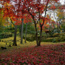 東郷公園 (2)