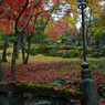 東郷公園 (6)