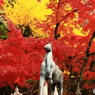 馬を彩る