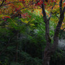 東郷公園 (7)