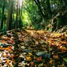 山路