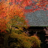 石山寺　本堂横