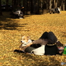 晩秋の公園模様ーまどろむ