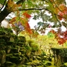 大窪寺の紅葉