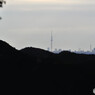 東郷公園 (15)