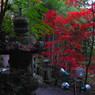 東郷公園 (20)