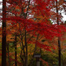 東郷公園 (24)