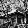 安楽律院２