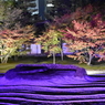 博多ライトアップウォーク2016　承天寺