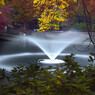 井之頭公園（２）