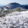 雪化粧