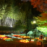 神戸市須磨離宮公園