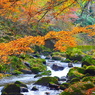 紅葉便り５：花貫の流れ３