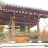 紅葉の能仁寺6